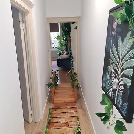 Neufs, Certains Avec Balneo, En Hypercentre De Apartamento